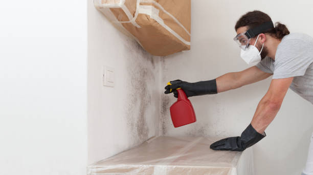 Professional Mold Inspection And Testing technician working in Lawrence Township, NJ