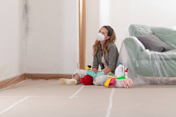 Reliable Mold Inspection And Testing contractor in Lawrence Township, NJ by Mold Remediation HQ